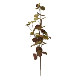Ág leveles 56 cm