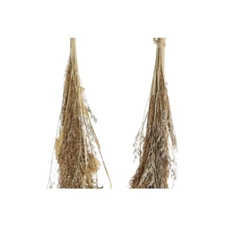 Dekoráció szárazvirág 13x6x65 cm 2 féle