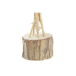 Dekoráció szárazvirág 35x25x55 cm 2 féle