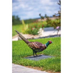 Fácánkakas 54x15x46 cm