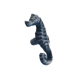 Fiókgomb kagyló, csikóhal 4x3x8 cm 2 féle