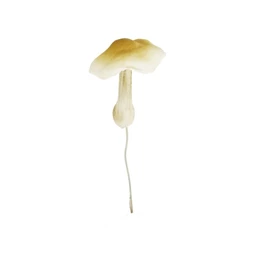 Gomba betűzős 4,5x5 cm S/12