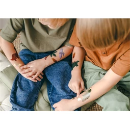 Ideiglenes tetoválások dinoszauruszok, mix S/13