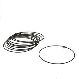 Karika 30 cm, 0,68 kg S/10