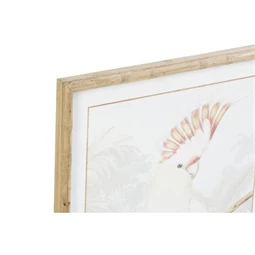 Kép kakadu 50x3x70 cm 2 féle