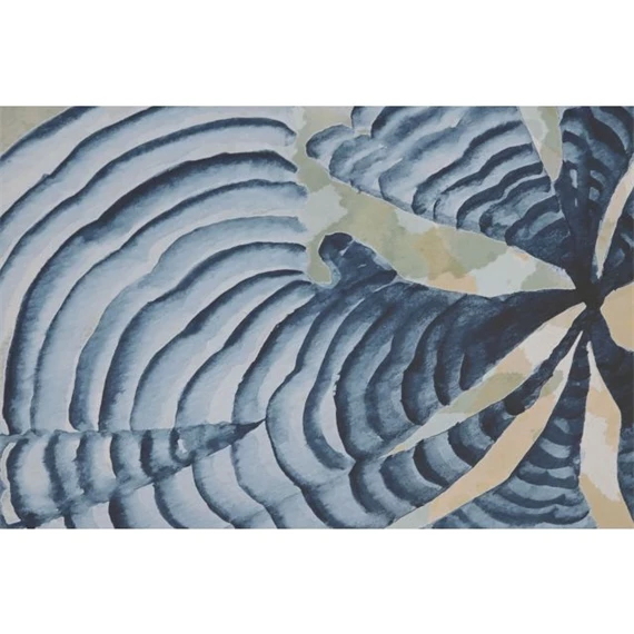 Kép keretes, korall 50x3x65 cm 6 féle