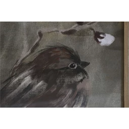 Kép keretes, madár 50x2x50 cm 4 féle