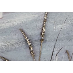 Kép móló 140x3x70 cm 2 féle