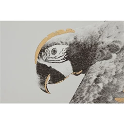 Kép szett keretes, trópusi 280x3,2x140 cm S/4