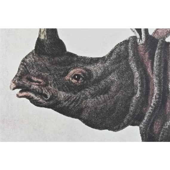 Kép szett orrszarvú 180x4x120 cm S/3