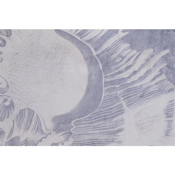 Kép tengeri kagyló 50x2x60 cm 4 féle