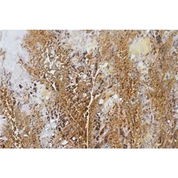 Kép vízpart, kézzel festett 80x3x80 cm 2 féle