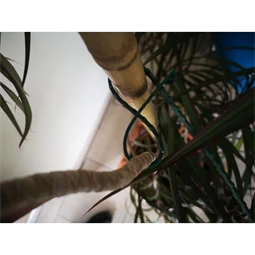 Kötöző fákhoz és cserjékhez 35 cm S/20