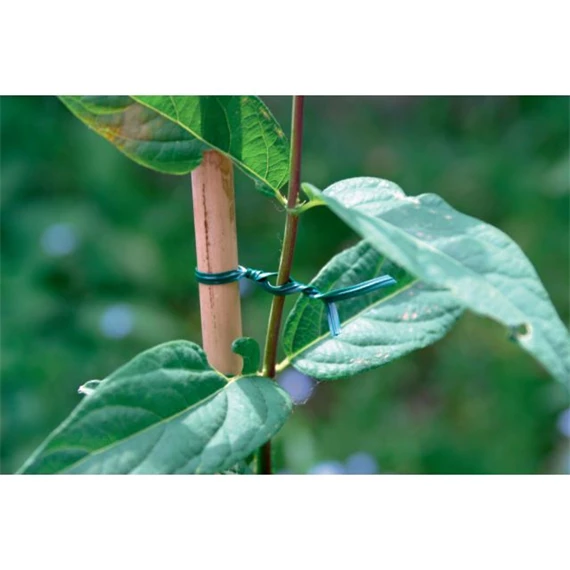 Kötöző növényekhez, műanyaggal bevont drót 2 mm x 2,5 m