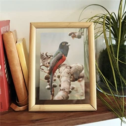 Lebegő képkeret, nagy 20x15x1,5 cm