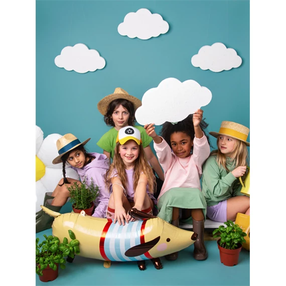 Lufi tacskó fólia 96x58 cm mix