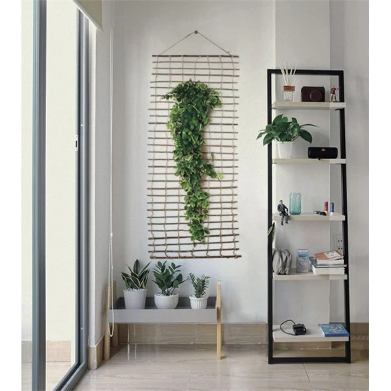 Növényfutattó apácarács 1x2 m