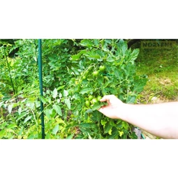 Növénytámasz 8 mm x 60 cm