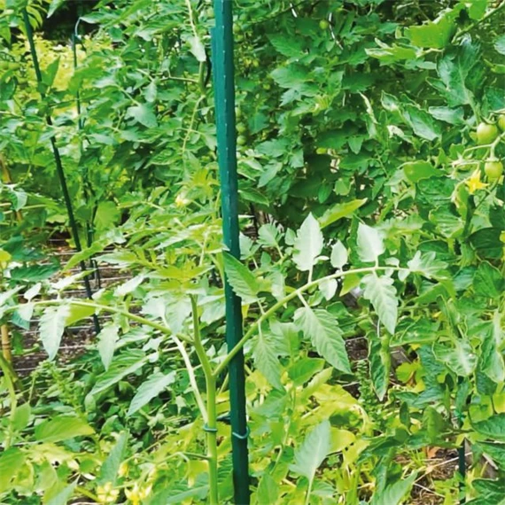 Növénytámasz 8 mm x 60 cm