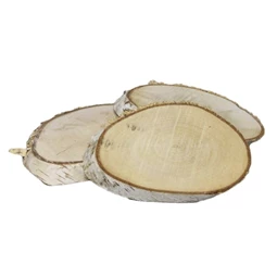 Nyírfa szelet 19-23/2 cm S/12