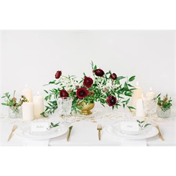 Nyomtatott organza krém 0,36 cm x 9 m