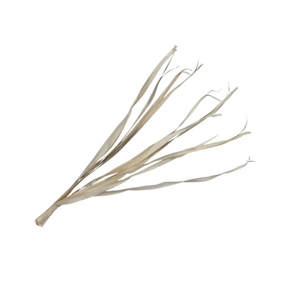 Pálmalevél szárított köteg 80-95 cm S/10