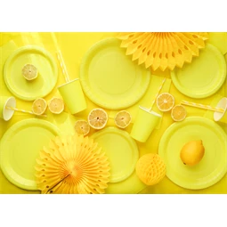 Papírtányérok 18 cm sárga S/6