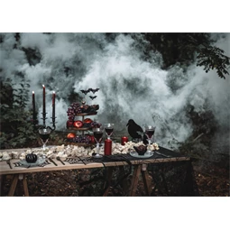 Papírtányér alátét pókhálós fekete 27,5 cm S/4