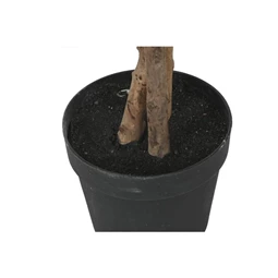 Selyemvirág fikusz cserepes 80x80x180 cm