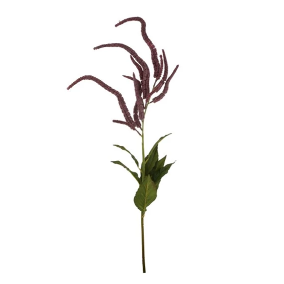 Selyemvirág amaranthus 110 cm