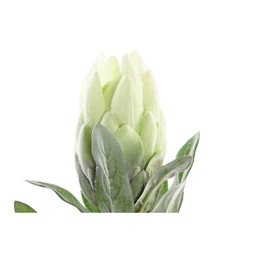 Selyemvirág Articsóka 15x15x65 cm 2 féle