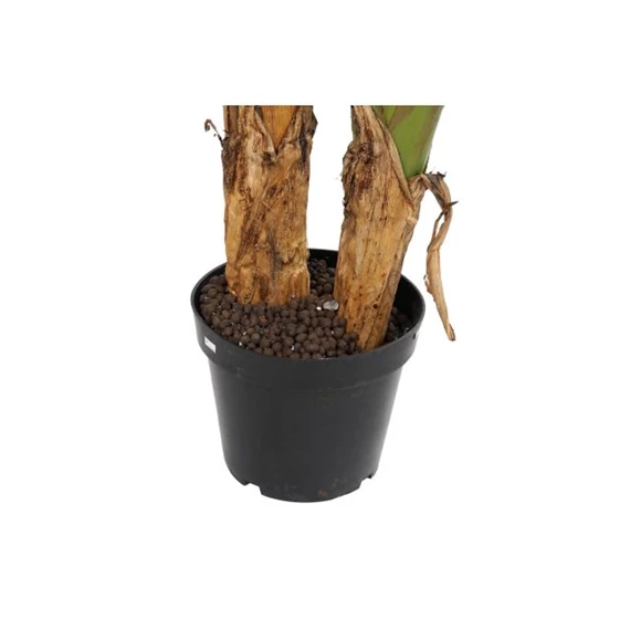 Selyemvirág banán pálma 130x130x200 cm