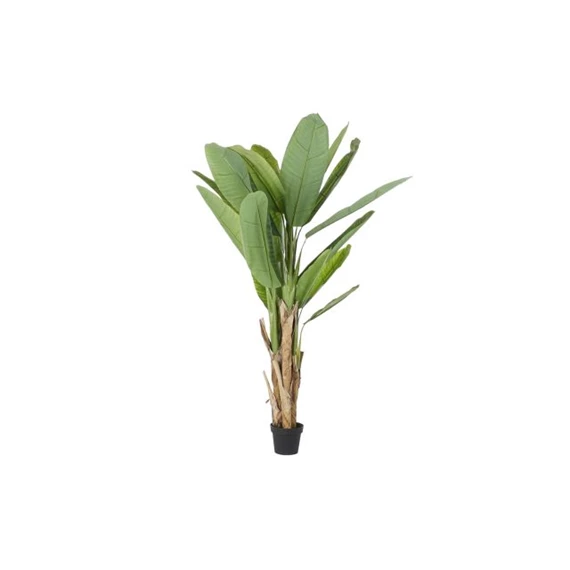 Selyemvirág Banánfa 90x90x190 cm