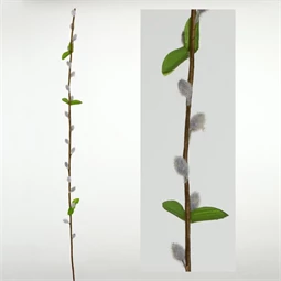 Selyemvirág barka ág 75 cm