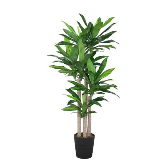 Selyemvirág cserépben, dracéna 80x80x180 cm