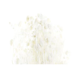 Selyemvirág csokor szárazvirág 20x20x70 cm 2 féle