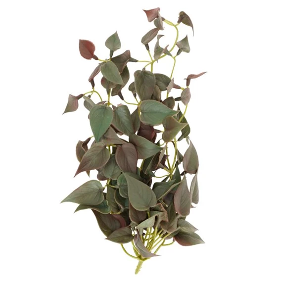 Selyemvirág futó Pletyka 35 cm