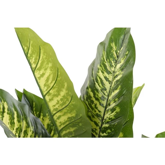 Selyemvirág Diffenbachia kaspóban 75x72x120 cm