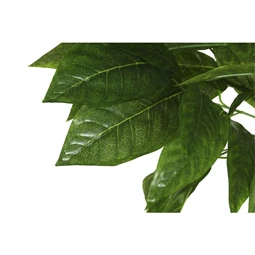 Selyemvirág kaspóban Mangó 100x100x185 cm