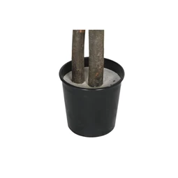 Selyemvirág kaspóban Mangó 100x100x185 cm