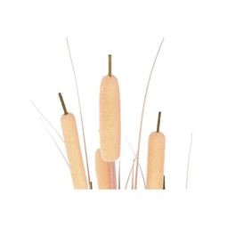 Selyemvirág Nád cserepes 35x35x120 cm