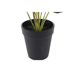 Selyemvirág 10x10x27 cm