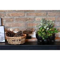 Selyemvirág 12x12x15 cm 2 féle