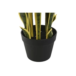 Selyemvirág Sansevieria cserepes 30x30x74 cm