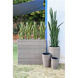 Selyemvirág Sansevieria cserepes 30x30x74 cm