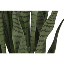 Selyemvirág Sansevieria cserepes 40x40x150 cm