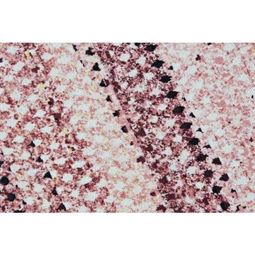 Szőnyeg 60x240x0,7 cm