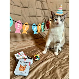 Születésnapi készlet macskáknak fémdobozban 7,3x10,5x3 cm