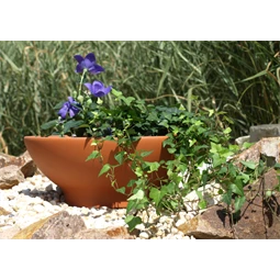 Tál 26 cm