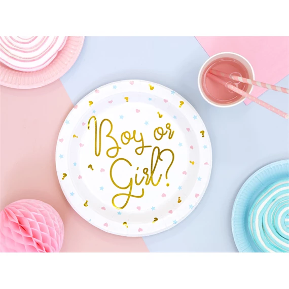 Papírtányér fiú vagy lány 23 cm S/6